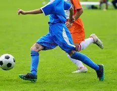 全球搜索热,美洲杯夺冠,奥运排名第,开云代理官网,开云代理,开云体育,开云全站,开云合作