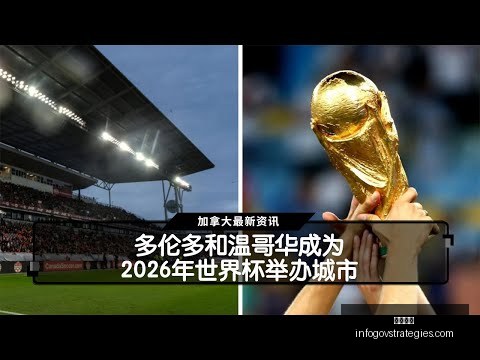 意甲再现惊,悚一幕,博洛尼亚,开云代理官网,开云代理,开云体育,开云全站,开云合作