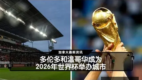 意甲再现惊悚一幕开云全站：博洛尼亚2-3遭维罗那逆转